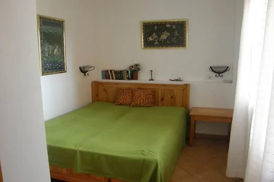 Finca Palmeras 2
