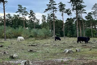 5 persoons vakantie huis in Millinge