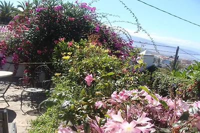 Joyau au paradis || La Victoria de Acentejo
