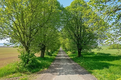 Seeblick Cottage Ruckzug-By Traum