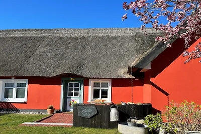 Ferienhaushälfte Schusters Kate in Zempin