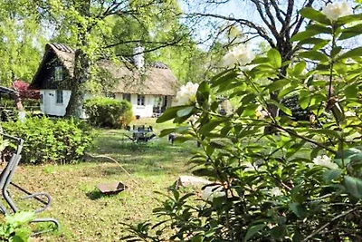 9 Personen Ferienhaus in Frederiksværk