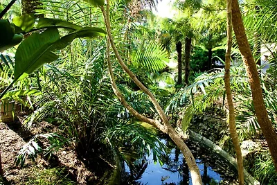 Wohnung in Cannes nahe Palais & Strände