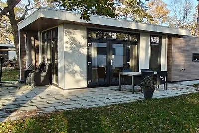 Ferienhaus in RW Haarle mit Barbecue
