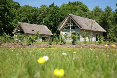 Reetgedeckte Villa mit zwei Badezimmern, 8 km...