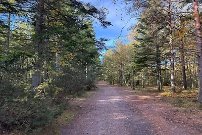 6 persoons vakantie huis in Ålbæk
