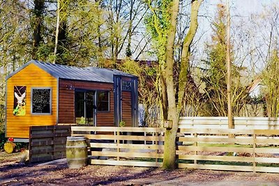 Tiny House in Hoogersmilde met tuin en...