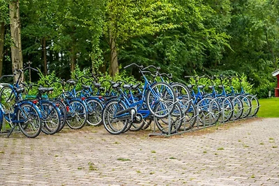 Chalet ben tenuto vicino ad Amsterdam