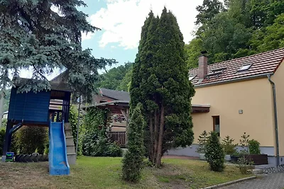 Tolles Ferienhaus mit Terrasse bei Saxon