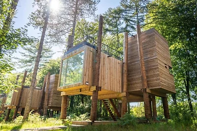 Rifugio sul tetto con sauna