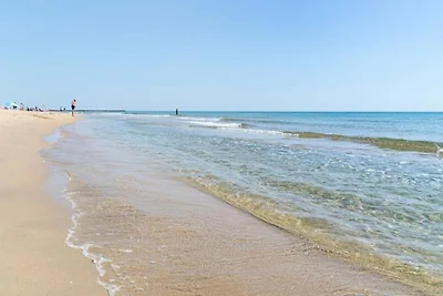 3 Teile für 4 Personen