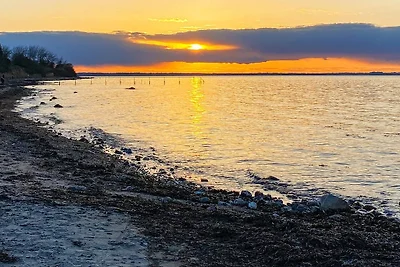 12 Personen Ferienhaus in Nordborg