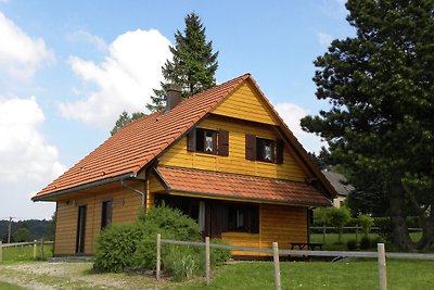 Groot chalet met prachtig uitzicht