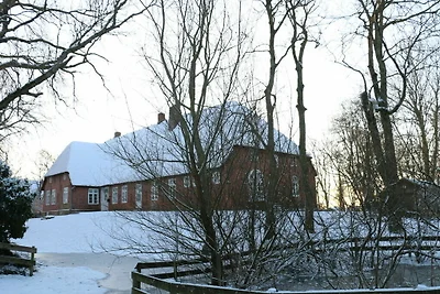 NordseeLütt Rifugio moderno