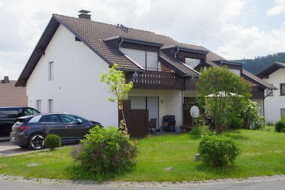 Wohnung in der Nähe der Skipiste in Züschen