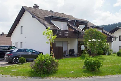 Wohnung in der Nähe der Skipiste in Züschen