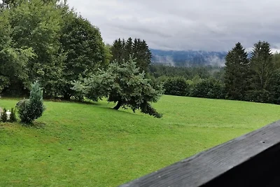 Vakantieappartement met 1 slaapkamer