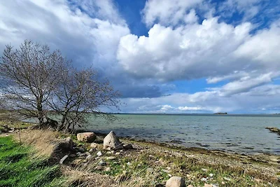 4 Personen Ferienhaus in Ærøskøbing-By Traum