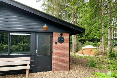 Luxuriöses Ferienhaus in Rheezerveen mit...