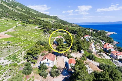 Apartments Villa Dingač-Borak - Two Bedroom A...