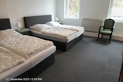 Komfortables großes Ferienhaus im Eifel mit...