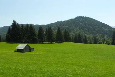 Wohnung in Blaichach mit Schwimmbecken