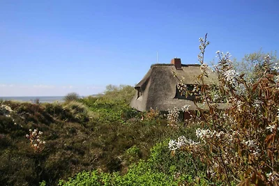 Casa vacanze su WATT, List su Sylt