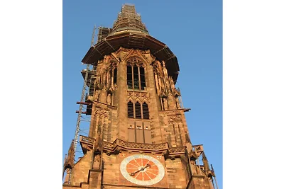 Ferienhaus Erholungsurlaub Freiburg
