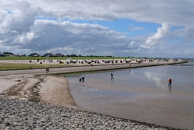 Deichtraum 50 m zum Strand Meer