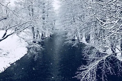 In der Region (Winter) (>5 km) In der Region (Winter) (>5 km)