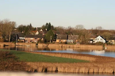 Waterküken am Bootssteg