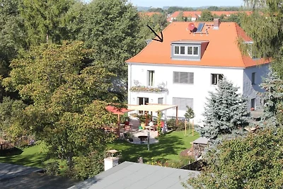 Lieblingswohnung im Elbtal