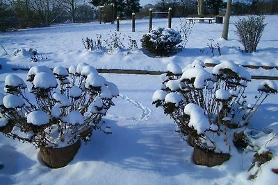 Eingeschossiger Bungalow mit Südterrasse