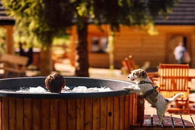 Chalet avec jacuzzi privé à Stecówka