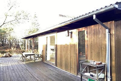 4 Sterne Ferienhaus in Ålbæk