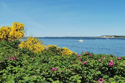 8 Personen Ferienhaus in Højslev-By Traum