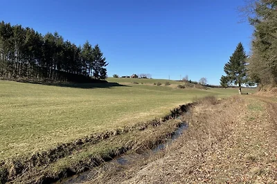 Bij de 5 berken