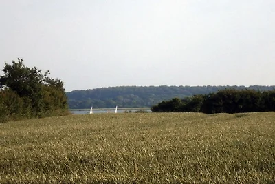 Lindhus Grödersby