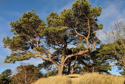 4 Personen Ferienhaus in ÅHUS-By Traum