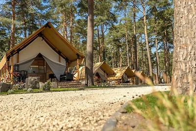 Sfeervolle Tentlodge Maastricht op 16 km.