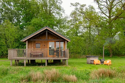 Gemütliche Lodge mit Whirlpool in Drenthe