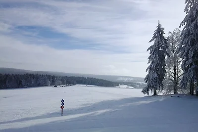 Casa vacanze Adlerblick, fare nella foresta.