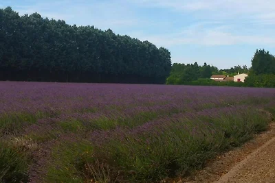 Soggiorno in botte tra vigne in Provenza