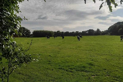 4 Personen Ferienhaus in Ansager