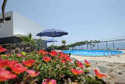 Quinta Golfinho - Villa Palmeira