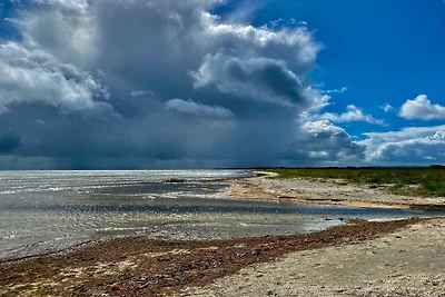 6 Personen Ferienhaus in Ålbæk-By Traum