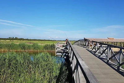 6 persone case ad Ringkøbing-By Traum