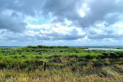 8 Personen Ferienhaus in Skjern-By Traum