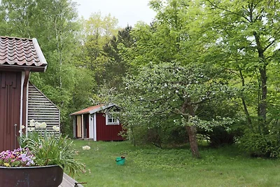 12 persoons vakantie huis in Haverdal