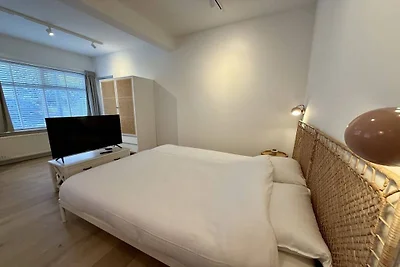 Vakantieappartement in Bergen aan Zee met...